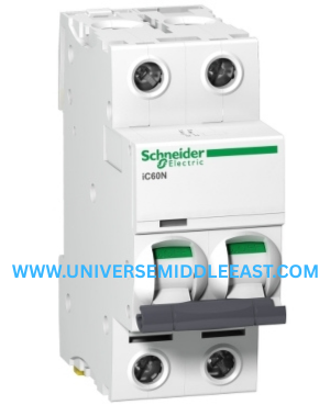 A9F44206 - SCHNEIDER Acti9 iC60N 2P 6A C Miniature Circuit breaker