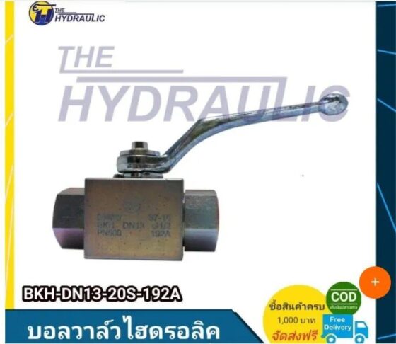 BKH-DN13-20S-192A ZN with Lockind Device D2