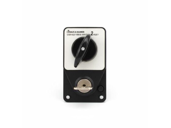 C125A221-600E Switch