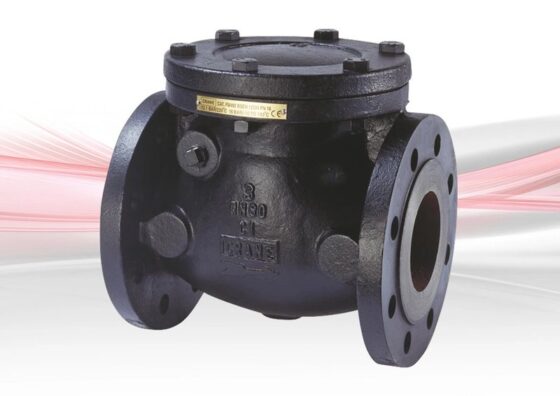 Check VLV, 3″ FLGD, PN16, FM492