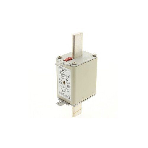 Eaton Bussmann 170M3817 Fuse 315A 690V — EATON Bussmann