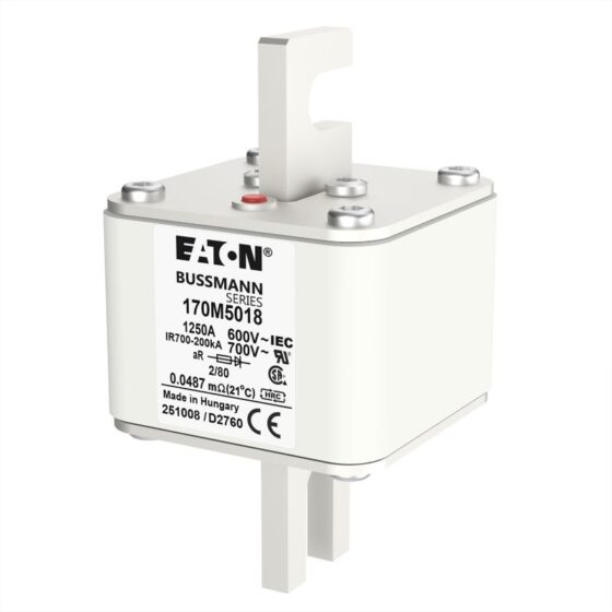 Eaton Bussmann 170M5018 Fuse 1250A 660V 2/80 — EATON Bussmann