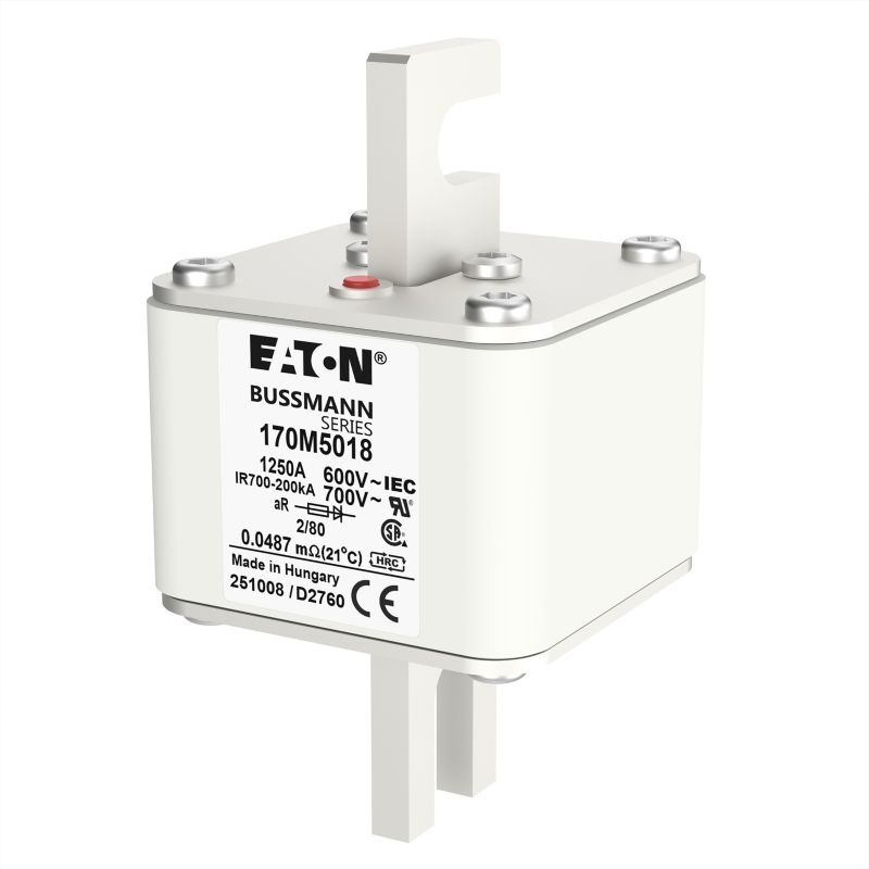 Eaton Bussmann 170M5018 Fuse 1250A 660V 2/80 — EATON Bussmann