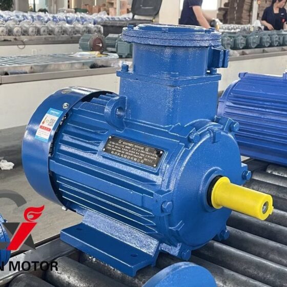 Electric Motor 7.5KW Phyton Three Phase Flame