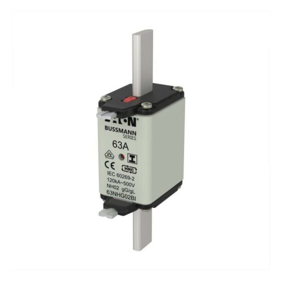 Fuse GL63 A 500V