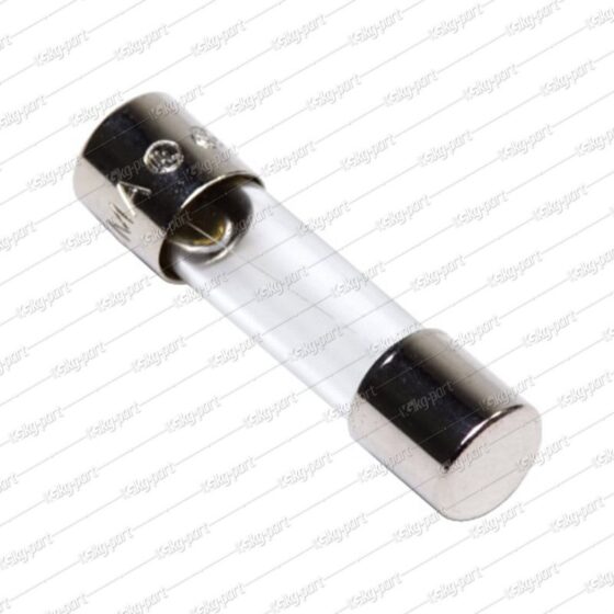 Glass Fuse 3A 5*20