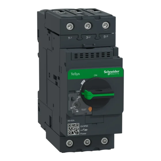 GV3P65 – Schneider Electric Motor circuit breaker, TeSys GV3, 3P, 48-65 A, thermal magnetic, EverLink terminals — SCHNEIDER