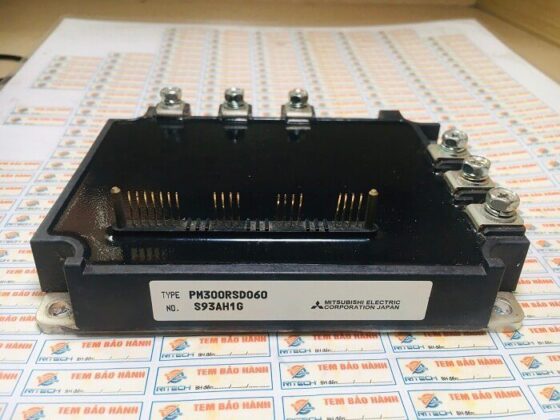 PM300RSD060
