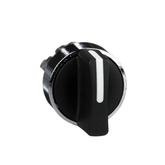 ZB4BD2 – Schneider Electric black selector switch head Ø22 2-position stay put — SCHNEIDER